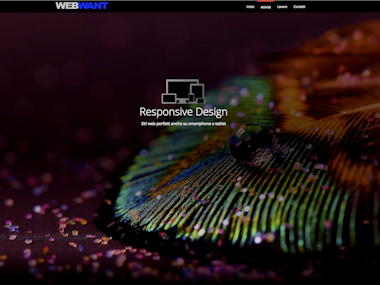 responsive web design